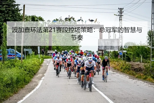 波加查环法第21赛段控场策略：总冠军的智慧与节奏