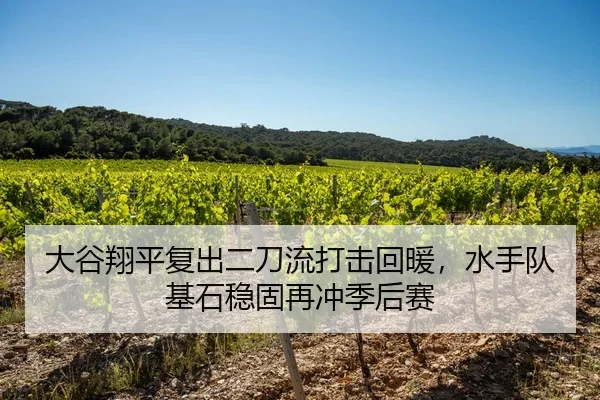 大谷翔平复出二刀流打击回暖，水手队基石稳固再冲季后赛