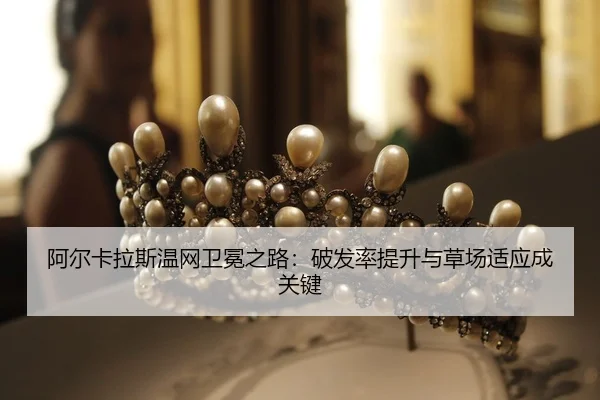 a-er-ka-la-si-wen-wang-wei-mian-zhi-lu-po-fa-lv-ti-sheng-yu-cao-chang-shi-ying-cheng-guan-jian-2-142.jpg