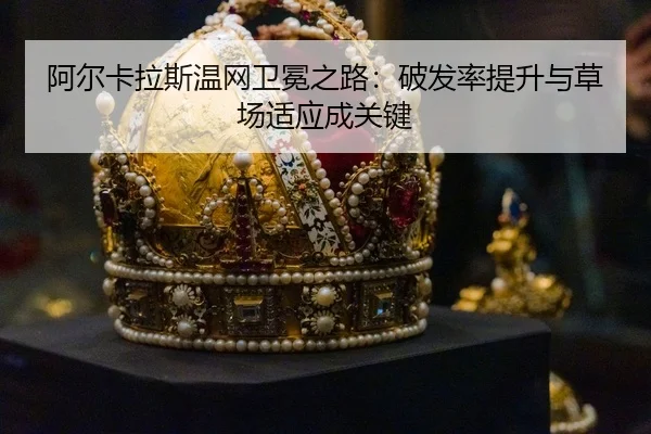 a-er-ka-la-si-wen-wang-wei-mian-zhi-lu-po-fa-lv-ti-sheng-yu-cao-chang-shi-ying-cheng-guan-jian-3-895.jpg
