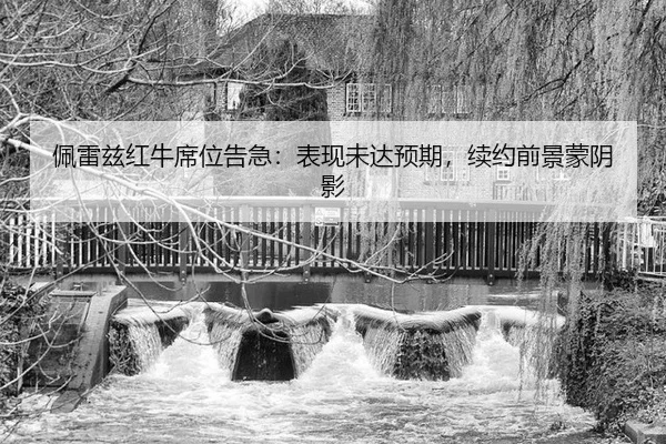pei-lei-zi-hong-niu-xi-wei-gao-ji-biao-xian-wei-da-yu-qi-xu-yue-qian-jing-meng-yin-ying-3-945.jpg
